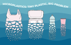 マイクロプラスチック問題とは？原因と与える影響、国際的な取り組みについて解説